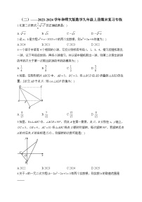 华师大版2023-2024学年数学九年级上册期末复习专练(2)及答案