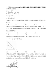 华师大版2023-2024学年数学九年级上册期末复习专练(4)及答案