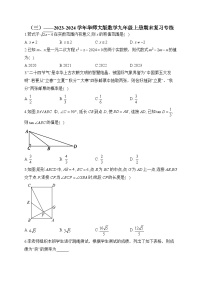 华师大版2023-2024学年数学九年级上册期末复习专练(3)及答案