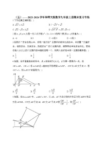 华师大版2023-2024学年数学九年级上册期末复习专练(5)及答案