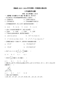 吉林省白城市通榆县2023-2024学年八年级上学期期末数学试题