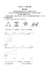 辽宁省大连市高新技术产业园区2023-2024学年九年级上学期期末数学试题