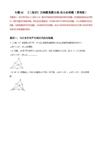 专题02 三角形压轴题真题分类-2022-2023学年八年级数学上册重难点题型期末复习热点题型（人教版）