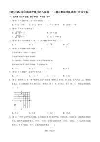 福建漳州2023-2024学年八年级上学期期末数学模拟试卷（北师大版）（附答案）