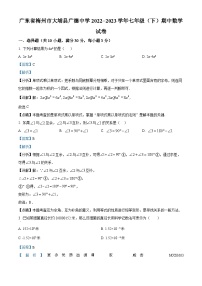 广东省梅州市大埔县广德中学2022-2023学年七年级下学期期中数学试题（解析版）