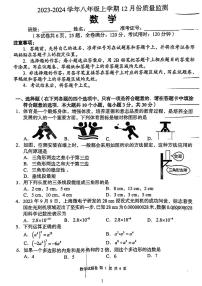 2024周南集团八年级第三次月考数学试卷