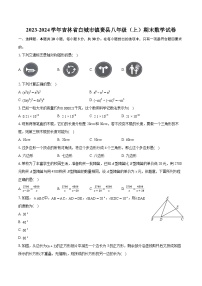 +吉林省白城市镇赉县2023-2024学年八年级上学期期末数学试卷