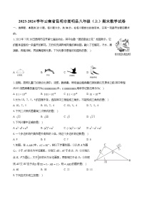 +云南省昆明市嵩明县2023-2024学年八年级上学期期末数学试卷