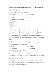 河南省实验中学2023-2024学年九年级上学期期末数学试卷