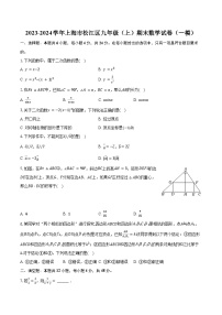 2023-2024学年上海市松江区九年级（上）期末数学试卷（一模）（含解析）