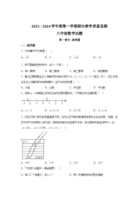 广东省深圳市南山区2023-2024学年八年级上学期期末数学试题（含解析）