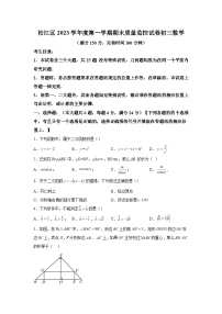 上海市松江区2023-2024学年九年级上学期期末(一模）数学试题（含解析）