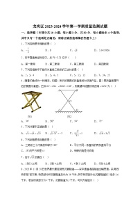 广东省深圳市龙岗区2023-2024学年八年级上学期期末数学试题（含解析）