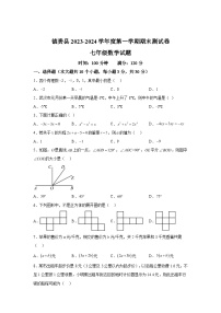 吉林省白城市镇赉县2023-2024学年上学期七年级数学期末试题（含解析）