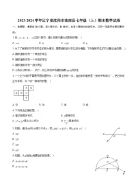 2023-2024学年辽宁省沈阳市法库县七年级（上）期末数学试卷（含解析）