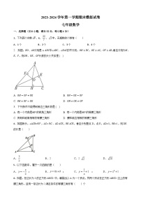 江苏省镇江市2023—-2024学年八年级上学期期末模拟 数学试卷