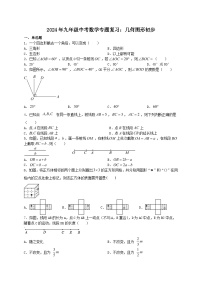 2024年九年级中考数学专题复习：几何图形初步