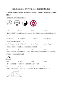 河南省商丘市柘城县2022-2023学年八年级上学期期末模拟测试数学试卷(含解析)