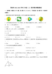 河南省郑州市登封市2022-2023学年八年级上学期期末模拟测试数学试卷(含解析)