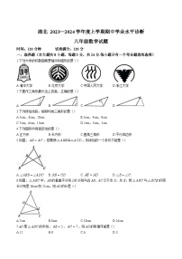 湖北省2023-2024学年八年级上学期期中学业水平诊断数学试卷(含答案)