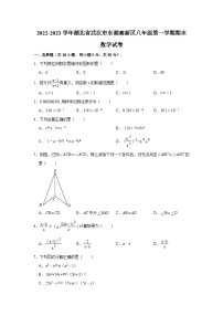 湖北省武汉市东湖高新区2022-2023学年八年级上学期期末考试数学试卷(含答案)