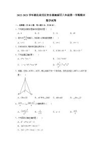 湖北省武汉市东湖高新区2022-2023学年八年级上学期期末考试数学试卷(含答案)