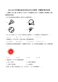 湖北省武汉市洪山区2024届九年级上学期期中考试数学试卷(含解析)