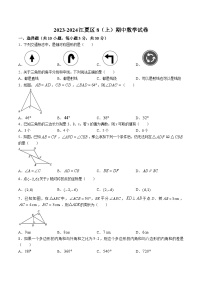 湖北省武汉市江夏区2023-2024学年八年级上学期期中调研考试数学试卷(含解析)