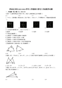 湖北省武汉市武昌区多校2023-2024学年八年级上学期期中考试数学试卷(含答案)
