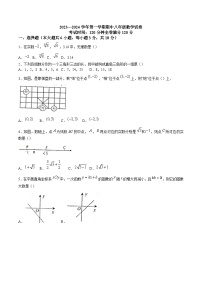 江西省吉安市十校2023-2024学年八年级上学期期中考试数学试卷(含答案)