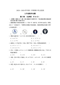 山东省滨州市无棣县2024届九年级上学期期中学业水平检测数学试卷(含答案)