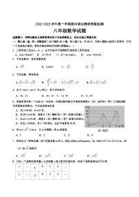 山东省枣庄市市中区2022-2023学年八年级上学期期中联合教研质量监测数学试卷(含答案)