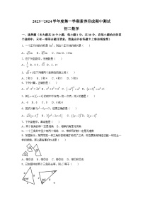 山西省临汾市洪洞县2023-2024学年八年级上学期期中考试数学试卷(含答案)