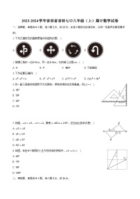 2023-2024学年吉林省吉林七中八年级（上）期中数学试卷（含解析）