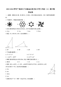 2023-2024学年广东省江门市新会区东方红中学八年级（上）期中数学试卷（含解析）