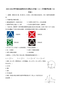 2023-2024学年湖北省武汉市江夏区九年级（上）月考数学试卷（12月份）（含解析）