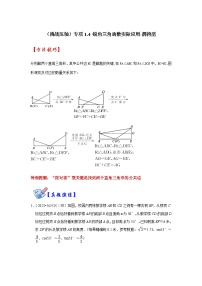 数学北师大版1 锐角三角函数精品课时训练