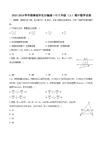 2023-2024学年湖南省怀化市溆浦一中八年级（上）期中数学试卷（含解析）