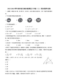 2023-2024学年吉林省白城市镇赉县八年级（上）期末数学试卷（含解析）