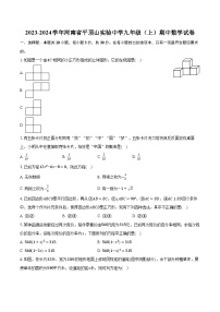 2023-2024学年河南省平顶山实验中学九年级（上）期中数学试卷（含解析）