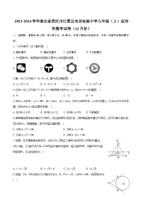 2023-2024学年湖北省武汉市江夏区光谷实验中学九年级（上）适应性数学试卷（12月份）（含解析）