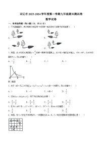 吉林省四平市双辽市2023-2024学年九年级上学期期末数学试题