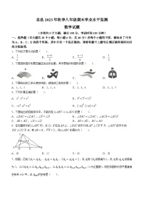 重庆市忠县2023-2024学年八年级上学期期末数学试题