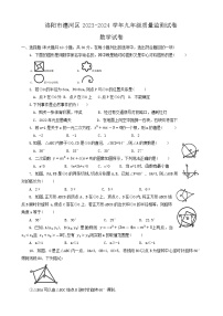 河南省洛阳市瀍河区2023-2024学年上学期九年级数学期末试卷