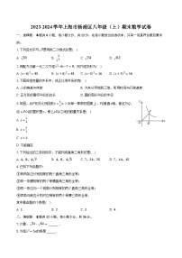 2023-2024学年上海市杨浦区八年级（上）期末数学试卷（含解析）