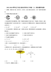 2023-2024学年辽宁省大连市庄河市八年级（上）期末数学试卷（含解析）