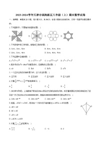 2023-2024学年天津市滨海新区八年级（上）期末数学试卷（含解析）