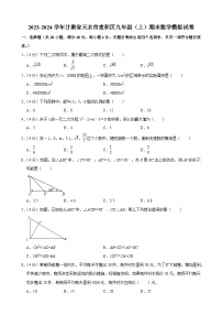 甘肃省天水市麦积区2023—2024学年上学期九年级期末数学模拟试卷