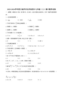 2023-2024学年四川省泸州市泸县四中七年级（上）期中数学试卷（含解析）