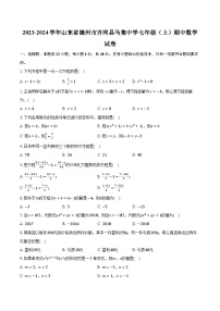 2023-2024学年山东省德州市齐河县马集中学七年级（上）期中数学试卷（含解析）